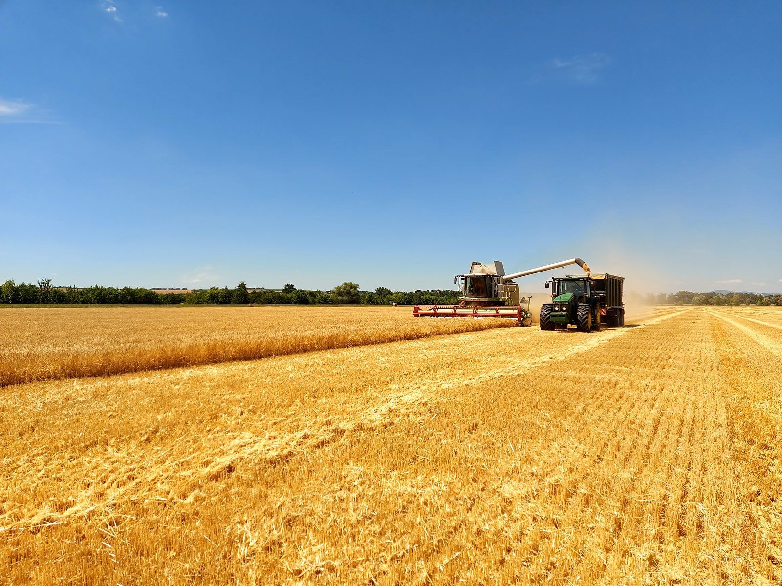 Poľnohospodárska výroba TRITICUM — záber 7